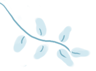 202341919131.png