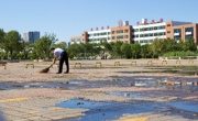 后勤管理党支部组织人员快速排除学院东门积水