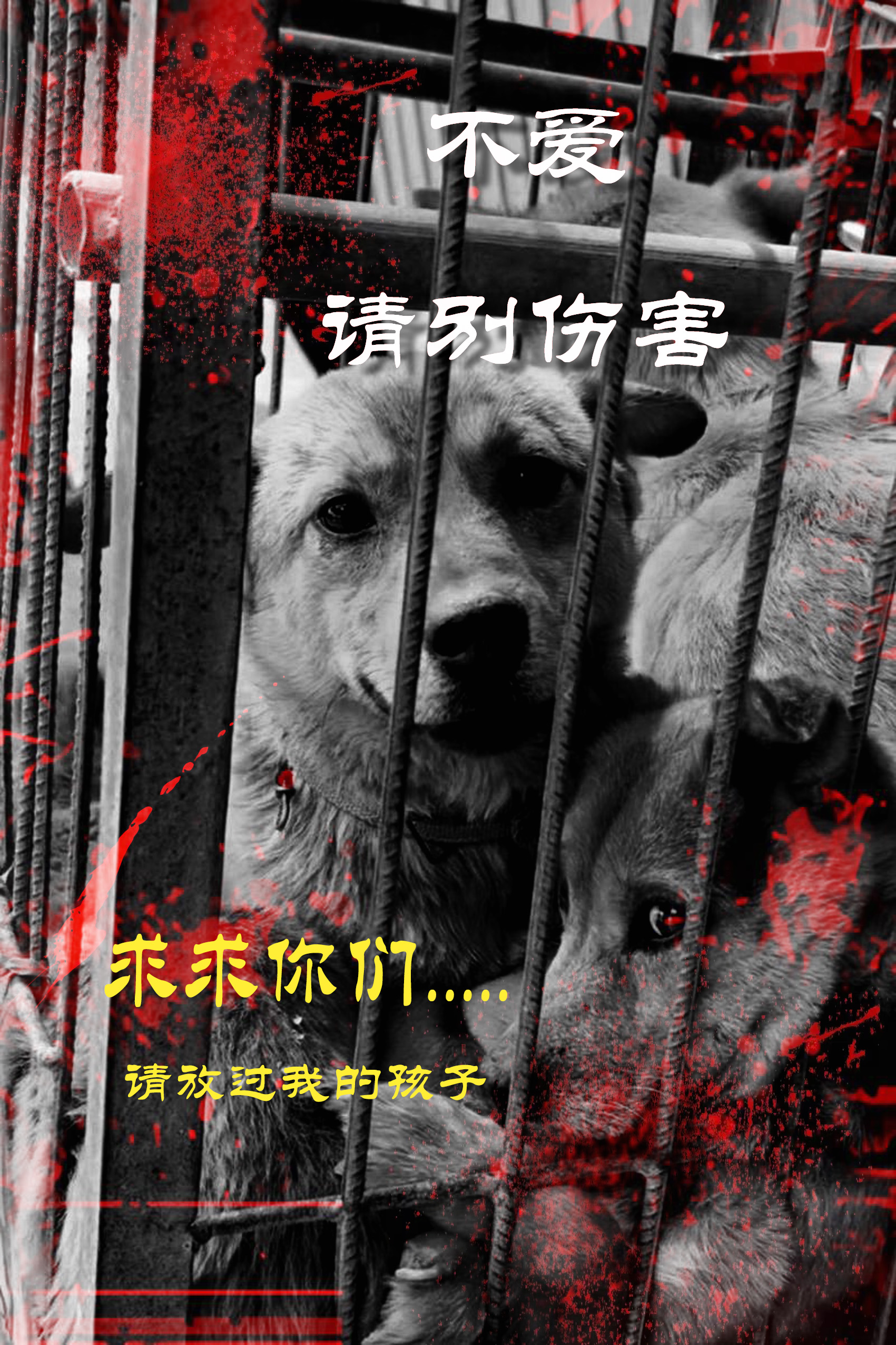 数字创意学院-乔梦颖-《以爱护全》
