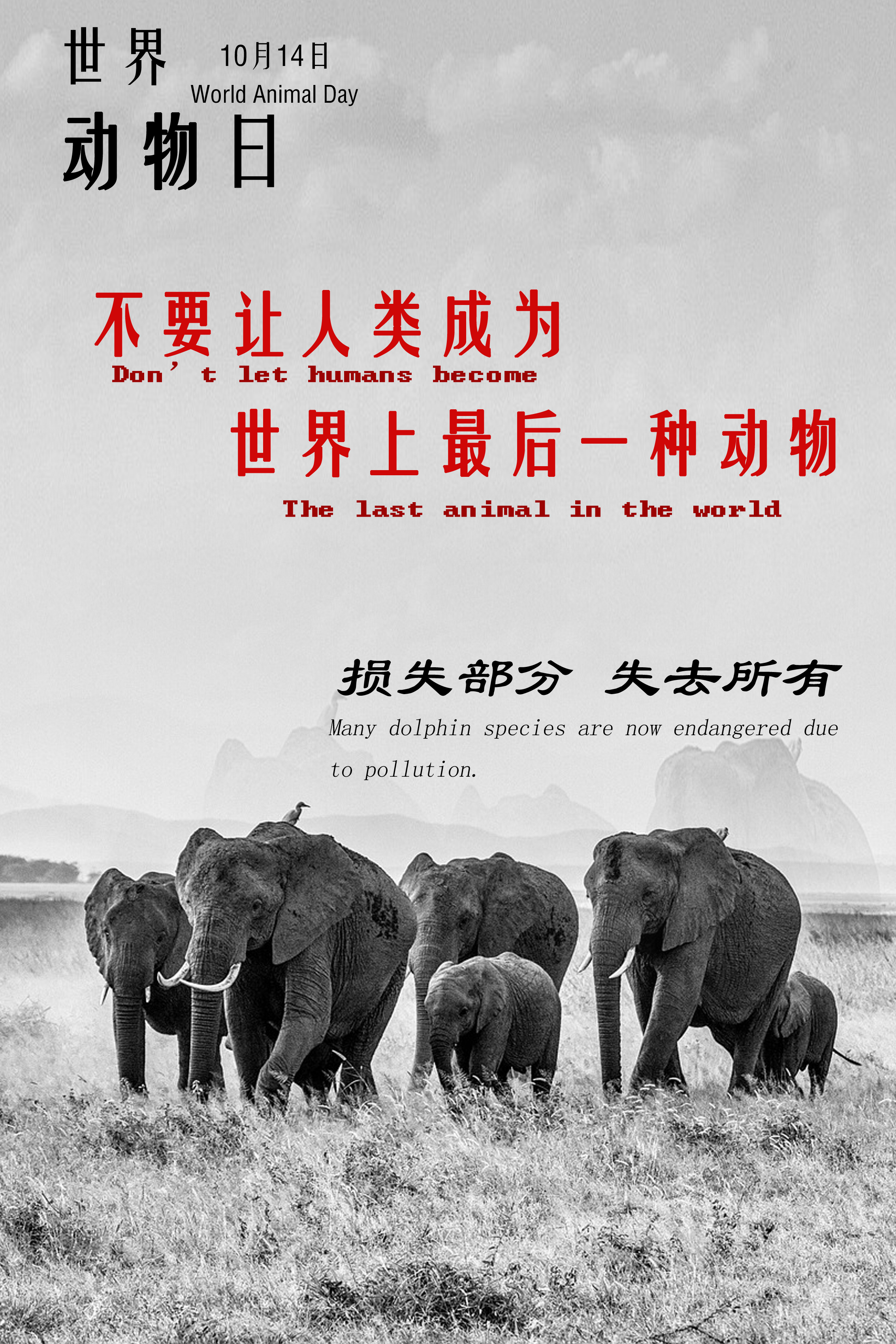 数字创意学院-姚鑫泓-《保护动物》