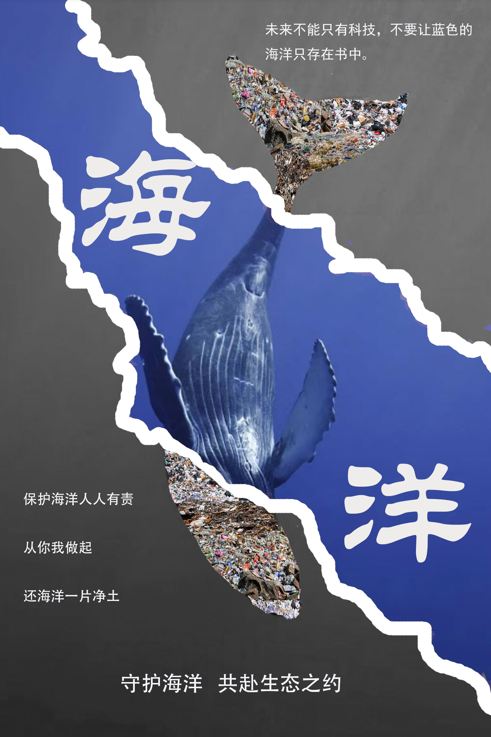 数字创意学院-翟玥儿-《保护地球》
