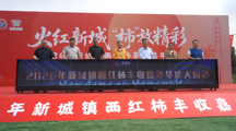 【职业教育活动周】劳动铸就梦想，数字赋能振兴——我校师生深度参与新城镇西红柿丰收嘉年华